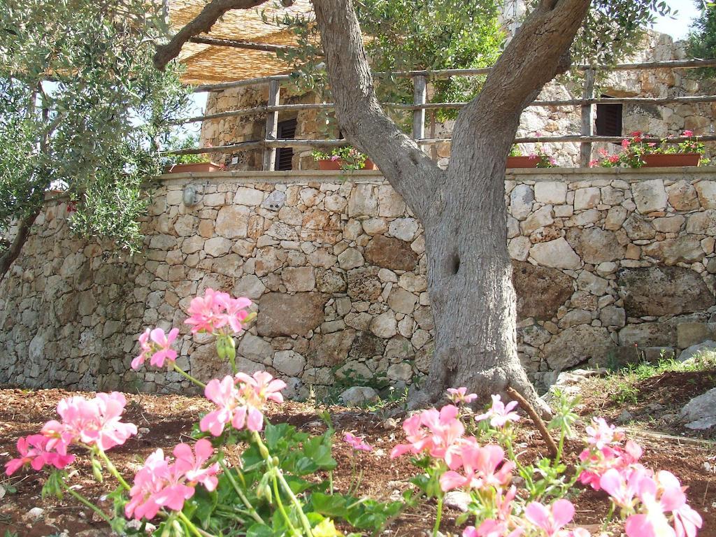 Residencefusaro Pajare Specchia Dış mekan fotoğraf